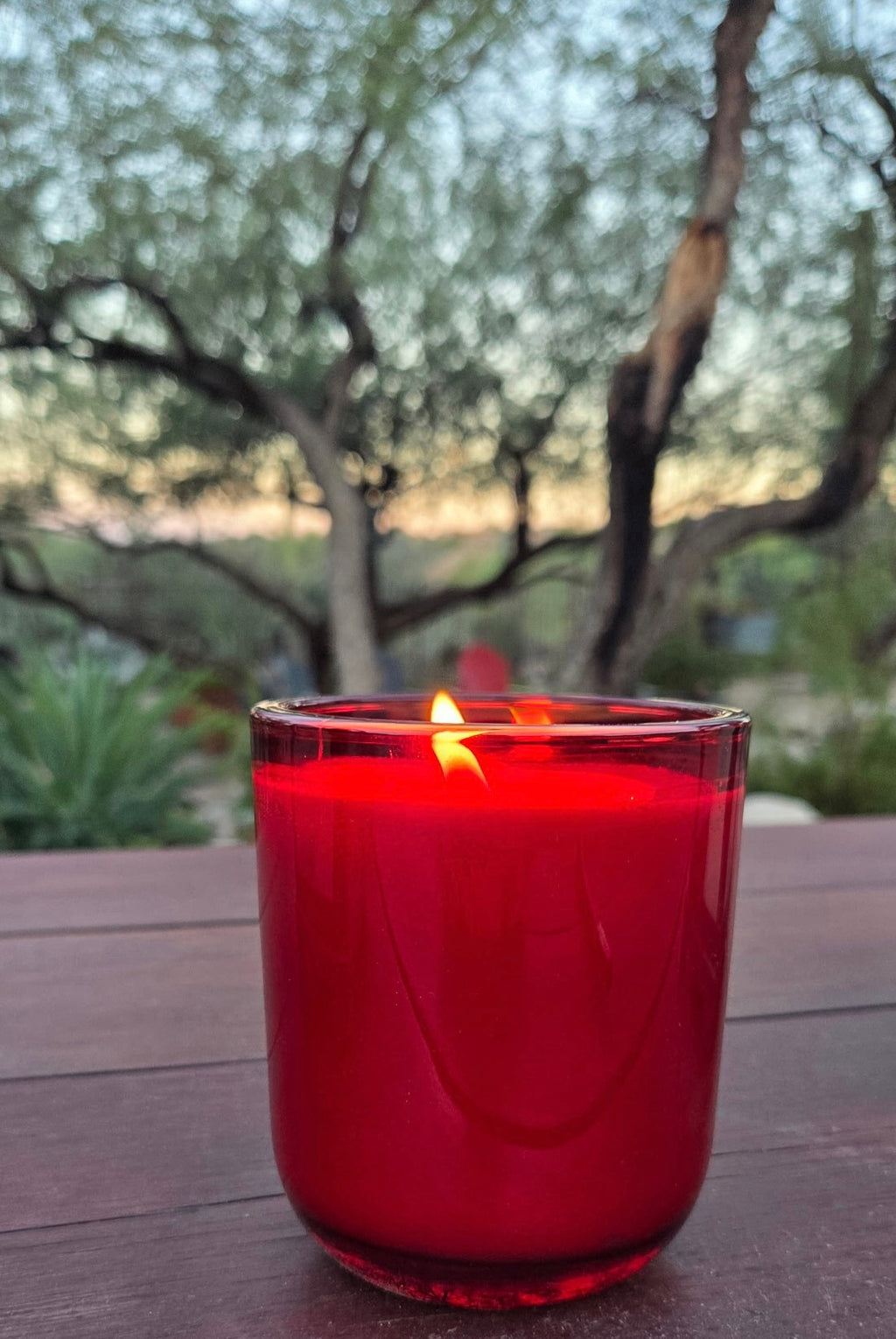 Sonoran Sage Signature Holiday Candle