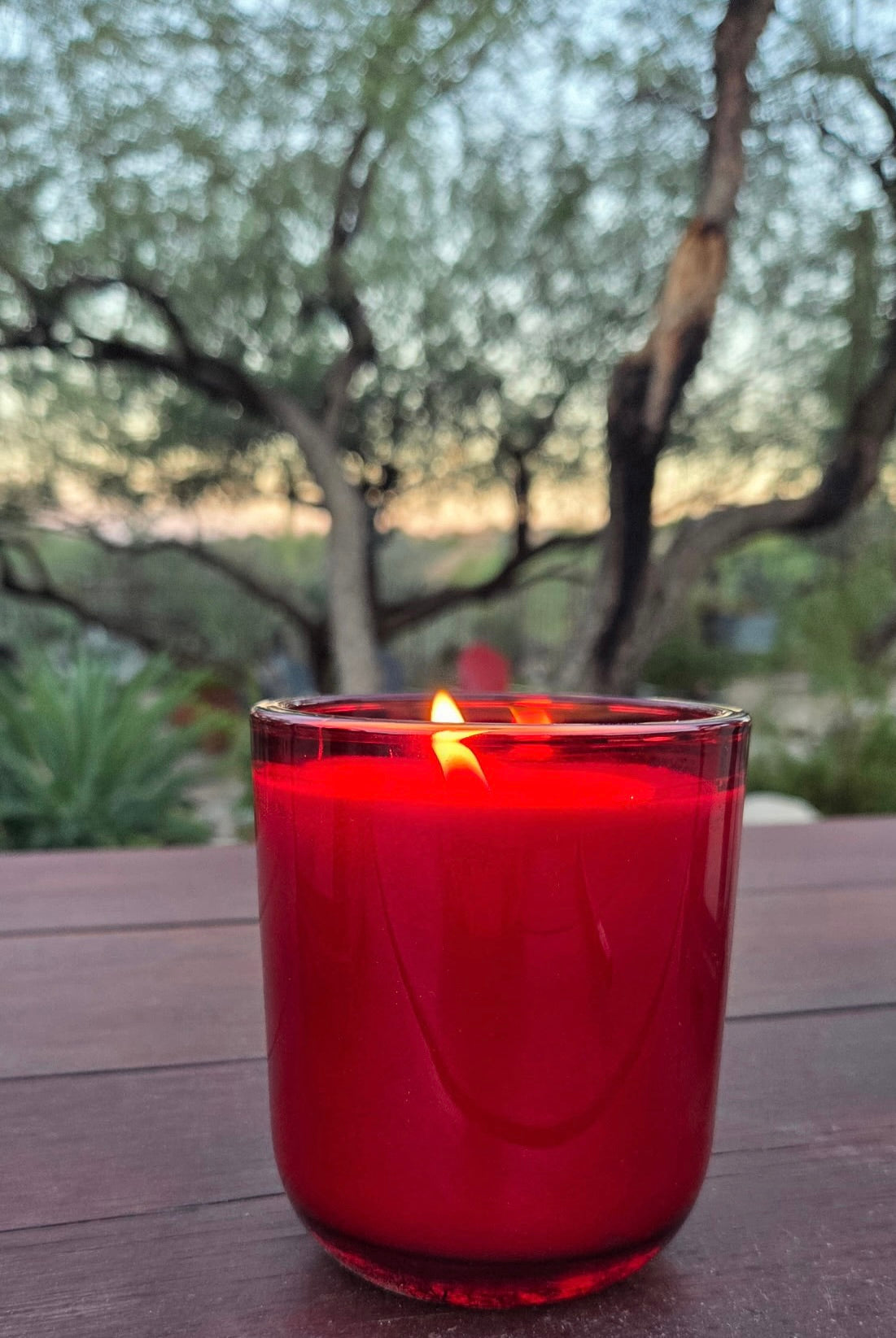 Sonoran Sage Signature Holiday Candle