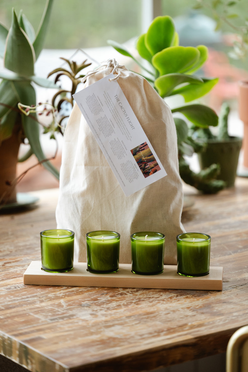 The Cactus Flight