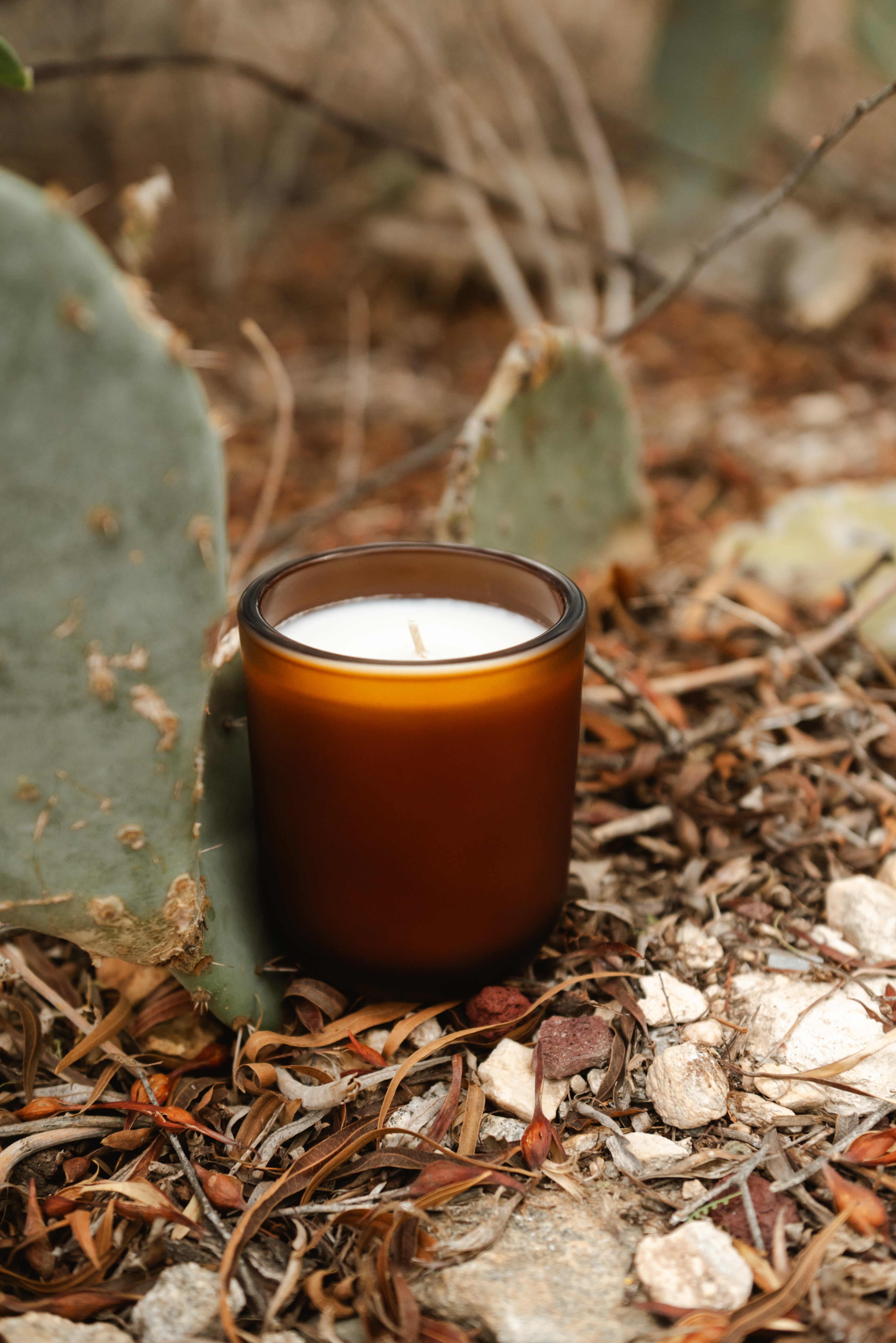 Sonoran Fig Signature Candle