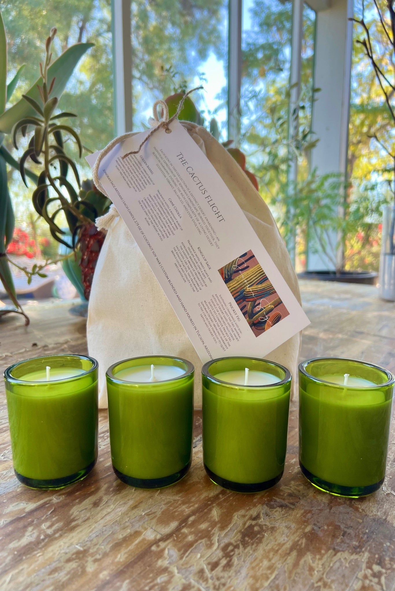 Cactus Flight Jars
