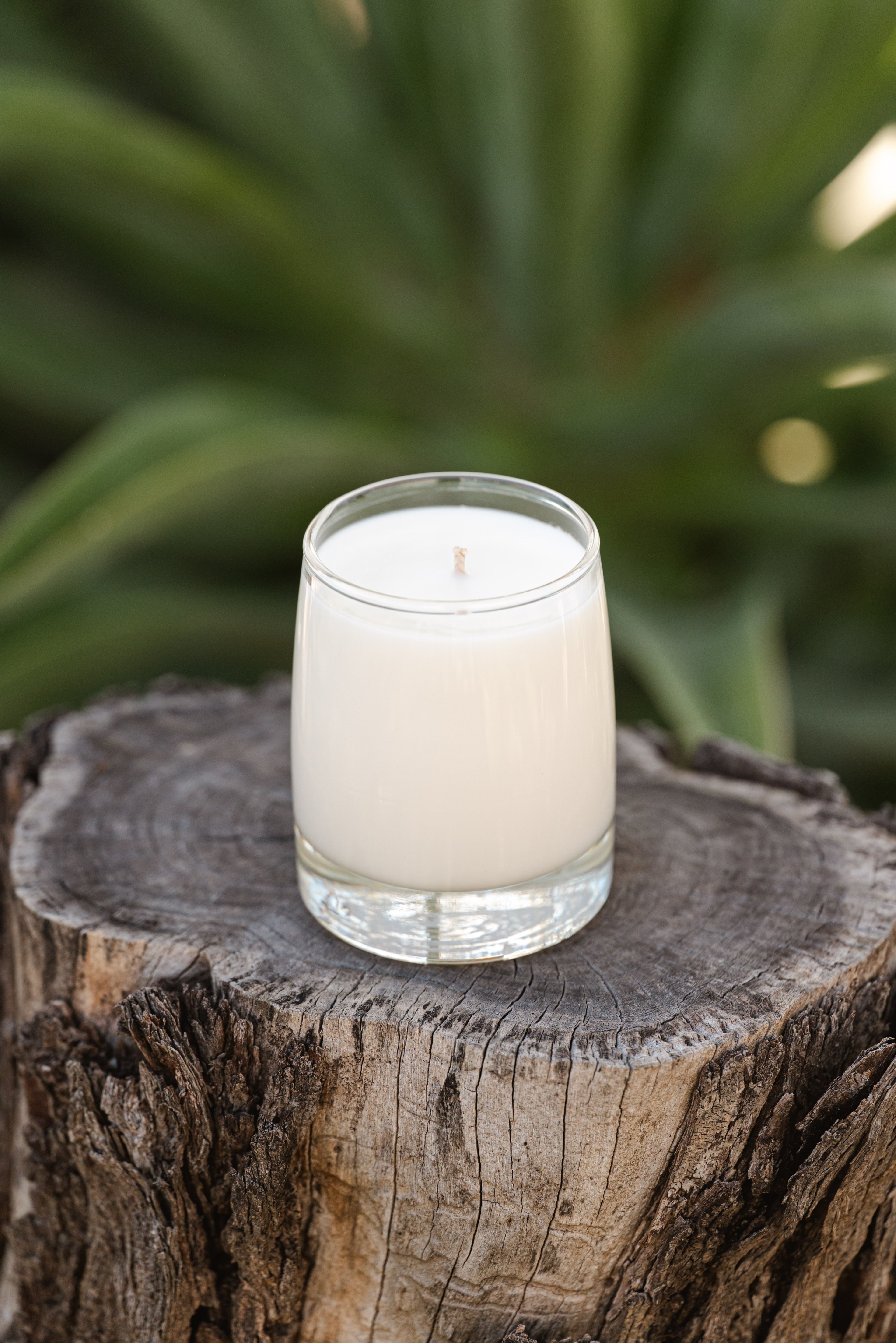 The Palo Verde Candle