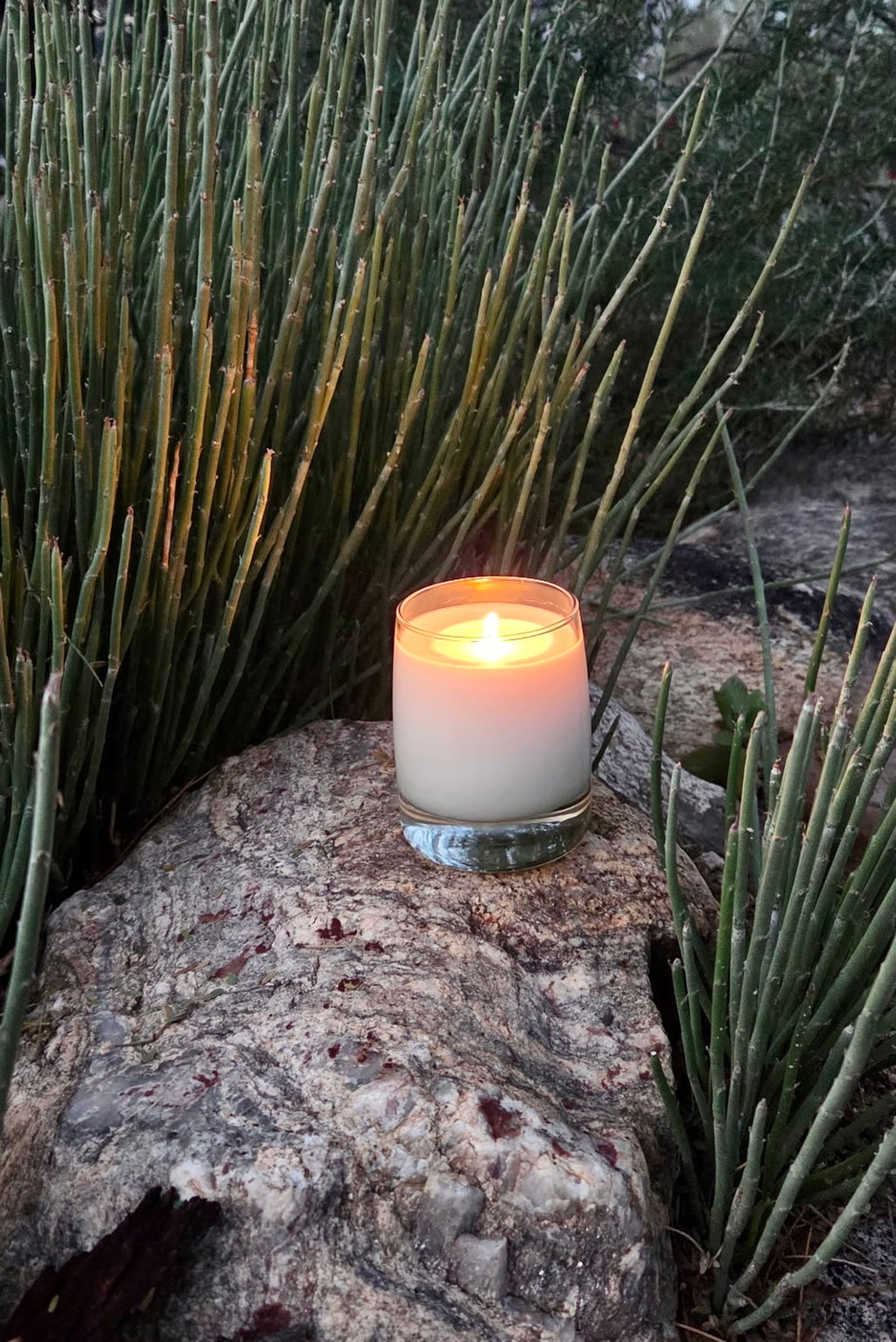 The Palo Verde Candle